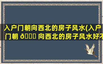 入户门朝向西北的房子风水(入户门朝 🐛 向西北的房子风水好不好)